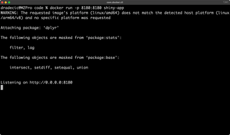 Image 7 - Running a Docker container
