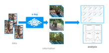 Simplified workflow for automated, ML model identification of camera trap imagery