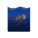 Plankton Research - Copepod Icon