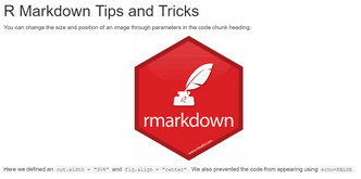 output after resizing and repositioning r markdown image