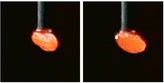 Image 5 - Cropped photos of a seed with actual resolution. Such images were later fed into the neural networks.