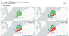 Future Forests Shiny app first iteration with four split screen map view