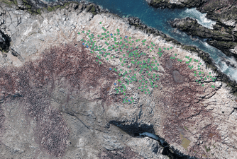 Image 8 - An Antarctic island as seen from a drone. Nests of cormorants are marked with blue dots, the predictions of our model are marked with green boxes. The predictions are very good