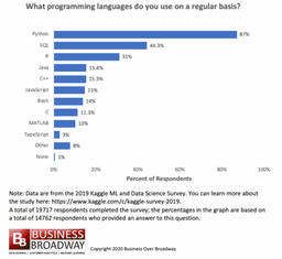 Image 2 - Programming languages used by data professionals - 2019 Kaggle ML and Data Science Survey