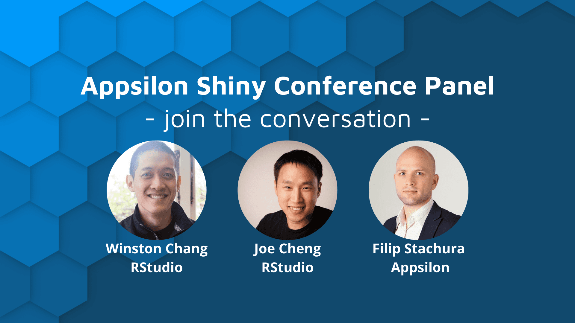 'appsilon shiny conference panel' with panelist profiles