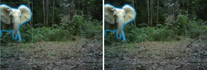 segmenting elephants from wildlife camera background different positioning