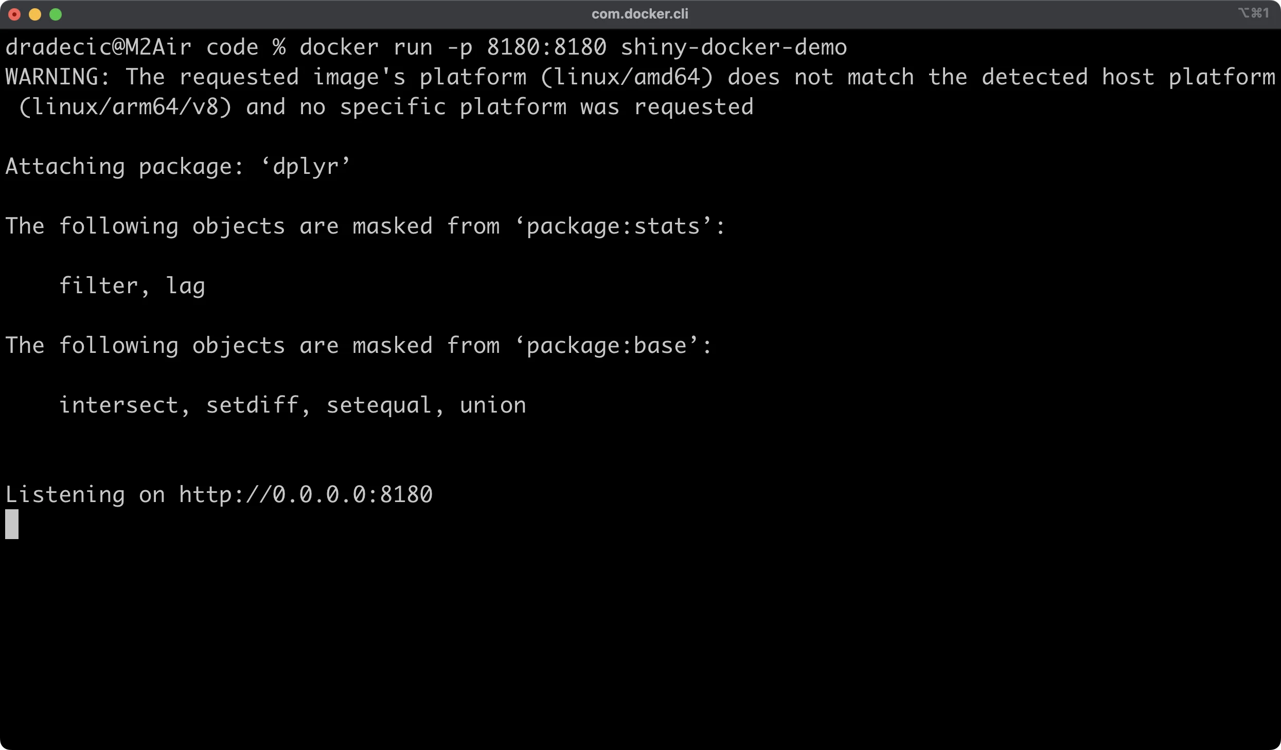 Image 5 - Running the Docker container