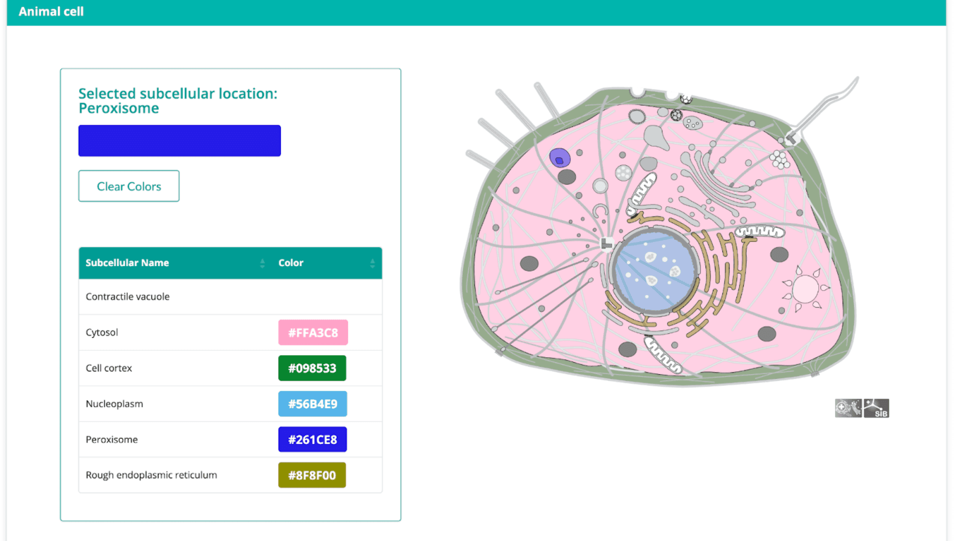 Shiny dashboard view of {drawCell} for drawing biology cells - blog banner