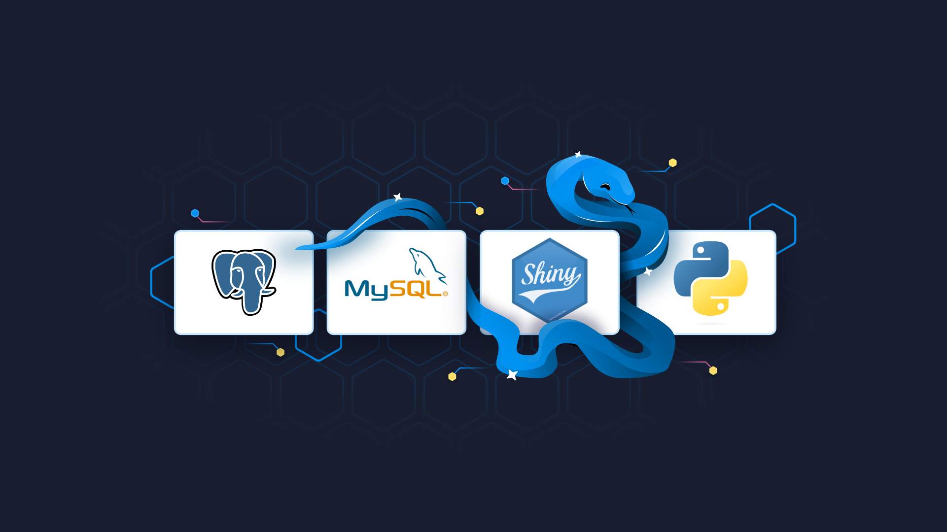 Connecting Shiny for Python to MySQL and PostgreSQL databases
