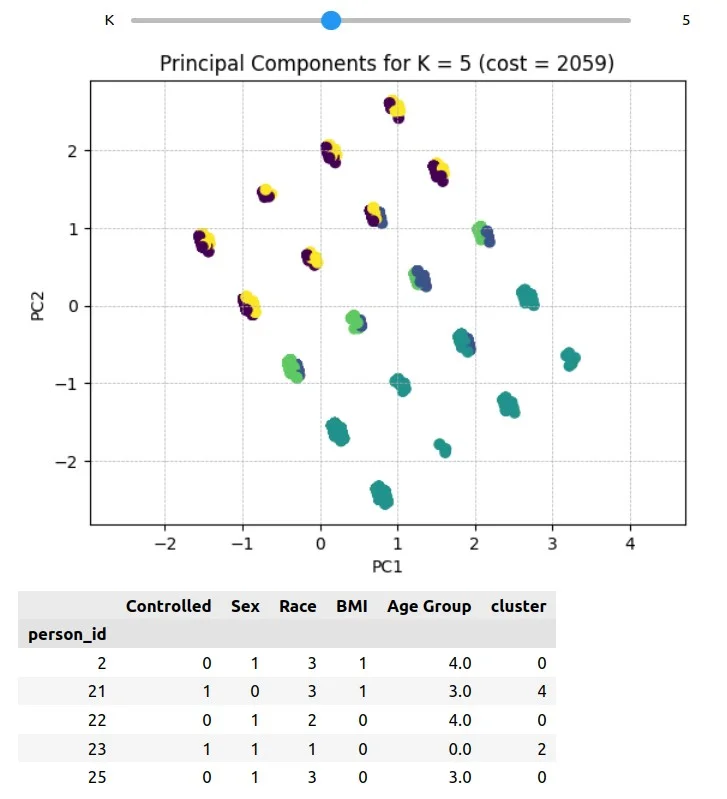 : A scatter plot of principal component analysis (PCA) for K=5 with a table of selected data points below it.